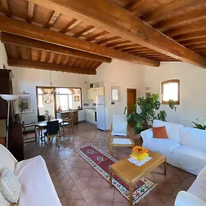 Mike's Guest house